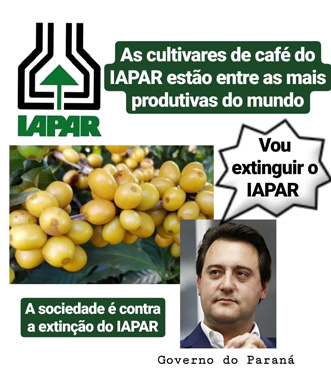 Capa da Notícia